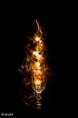 /album/fotogalerie-mal-so-mal-so/img-3552-2-jpg/